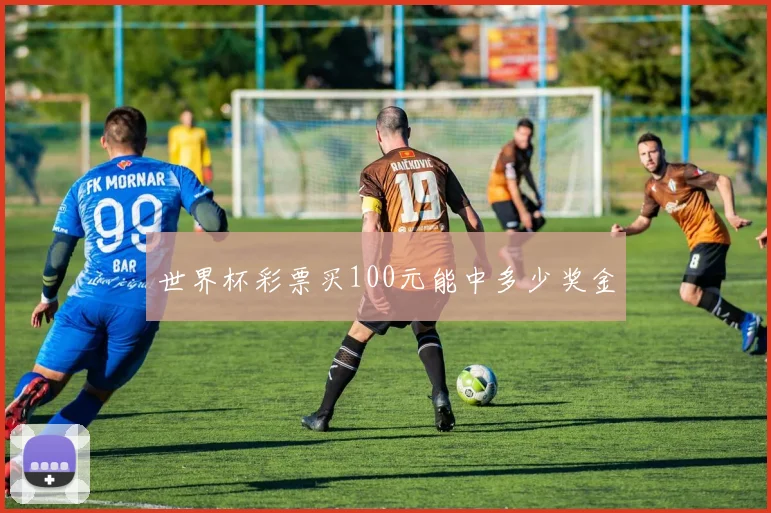 世界杯彩票买100元能中多少奖金