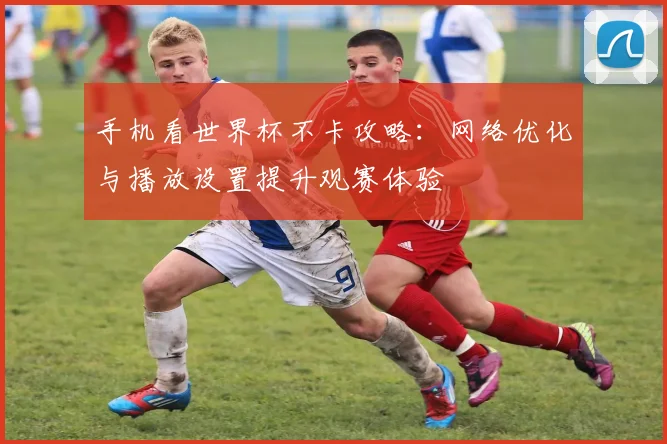 手机看世界杯不卡攻略：网络优化与播放设置提升观赛体验
